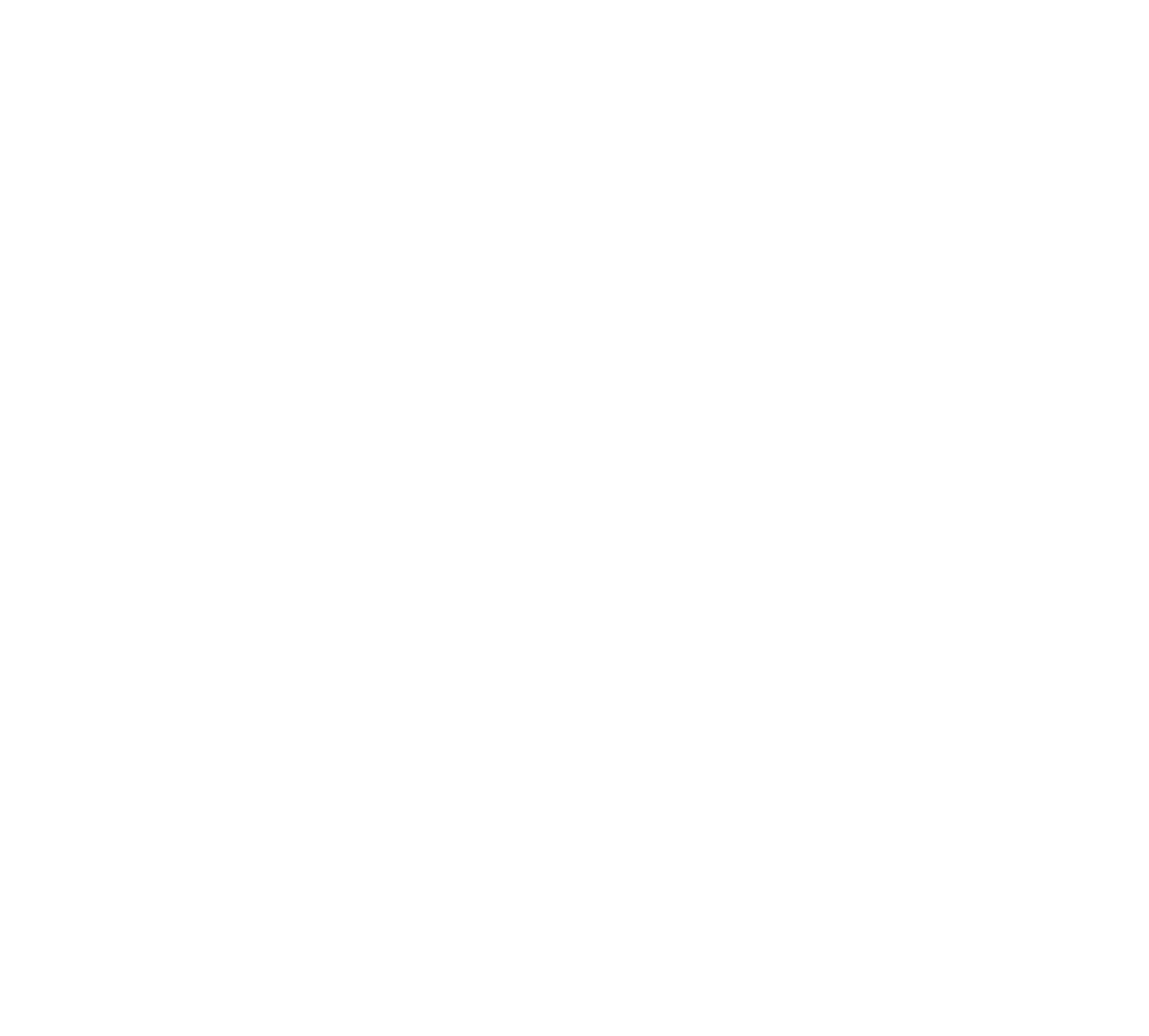Wisdom Partners